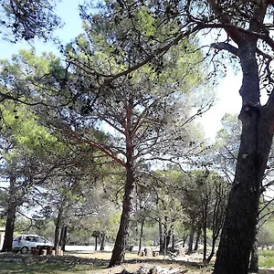 Eco Secluded Zabodarski Appartamento